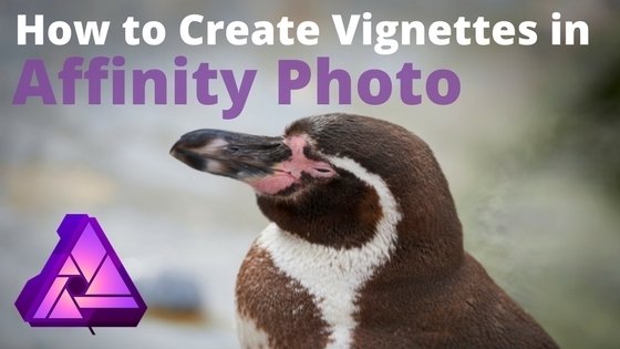 How to create vignette in Affinity Photo
