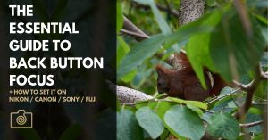 P_Raw_The Essential Guide to Back Button Focus