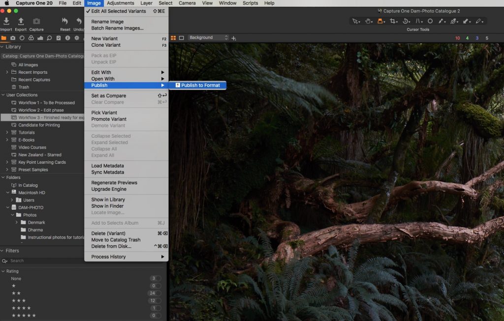 Use the Format Capture One plugin through the Image > Publish menu.